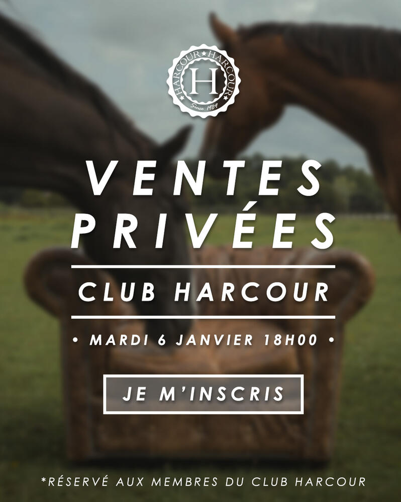 Lead Gen - Version 1 (N-1)