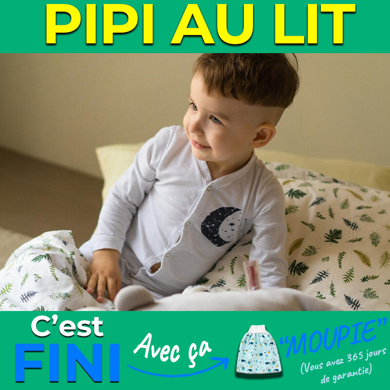 Cold Audience - Instant Experience (CTR ~10%)